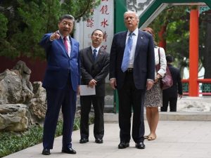 En Zhongnanhai, Xi Jinping condujo a Trump entre cipreses imperiales de hasta mil años de antigüedad, símbolos vivos de una civilización que existía mucho antes del nacimiento de Estados Unidos. Trump, desconcertado ante aquella escala histórica, solo quiso saber si otros líderes extranjeros habían sido recibidos allí antes que él.